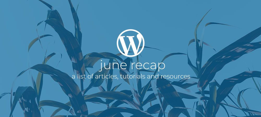 WordPress Dev Monthly Recap June 2019