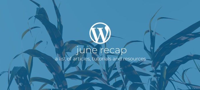 WordPress Dev Monthly Recap June 2019