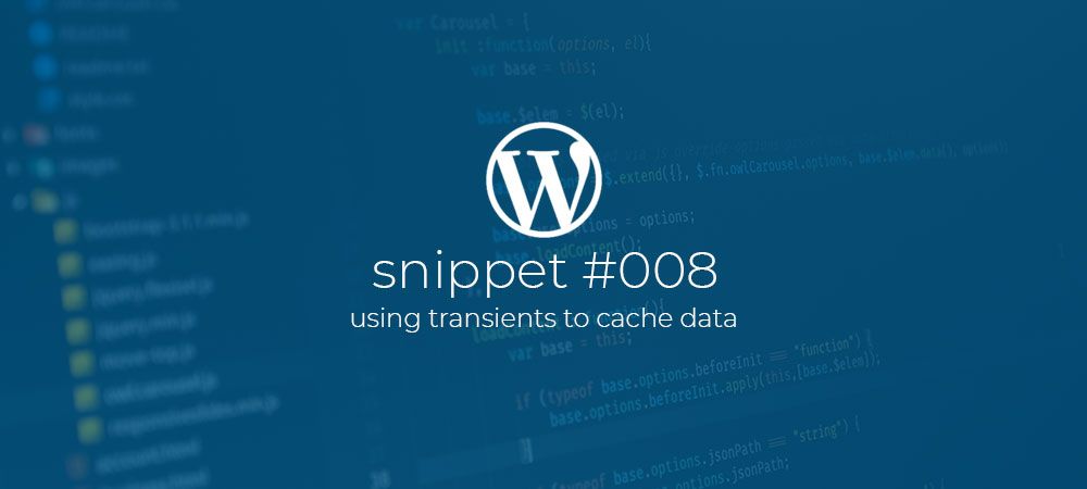 Using WordPress transients to cache data.